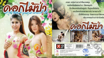 เย็ดในป่า เย็ดหลายน้ำ เย็ดสาวดอย เย็ดสด เย็ดคนเมือง