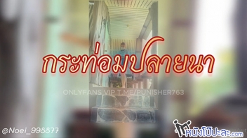 ไทยเย็ดกัน เสียว เย็ดกัน เงี่ยน หีไทย